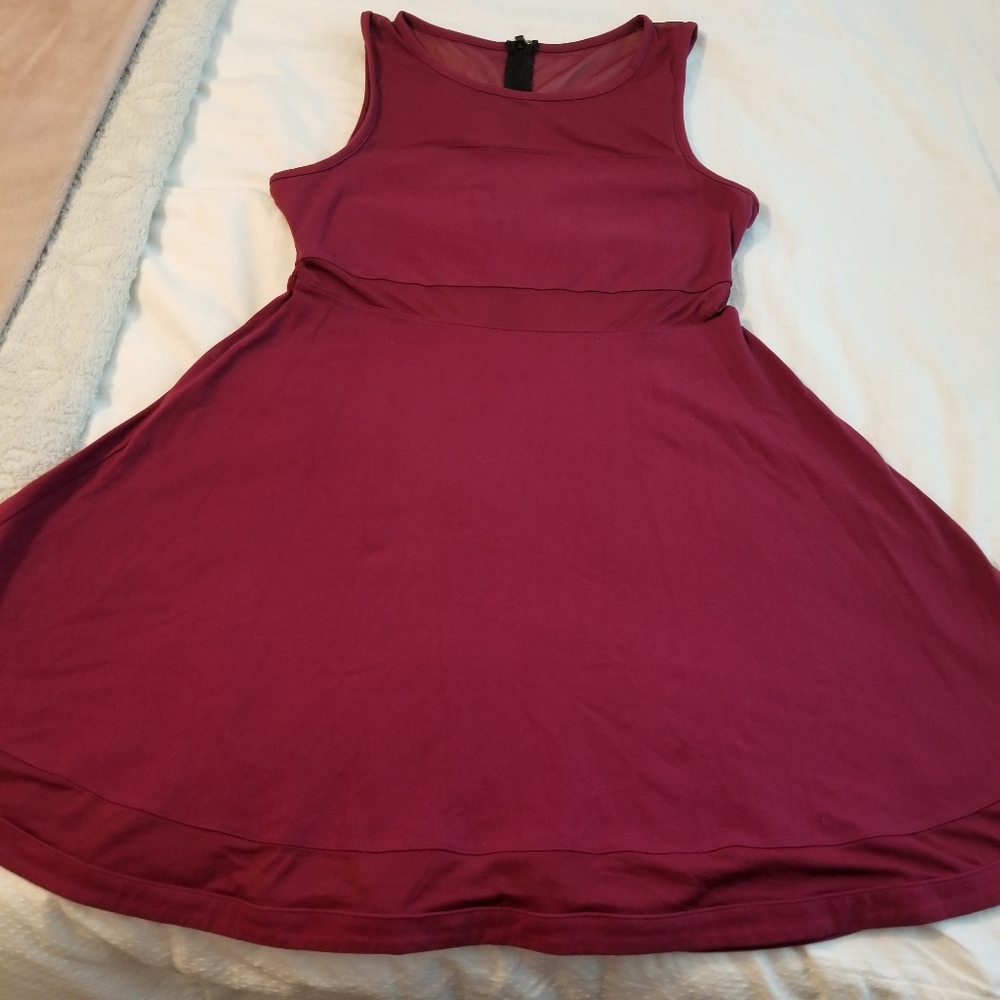Express skater dress